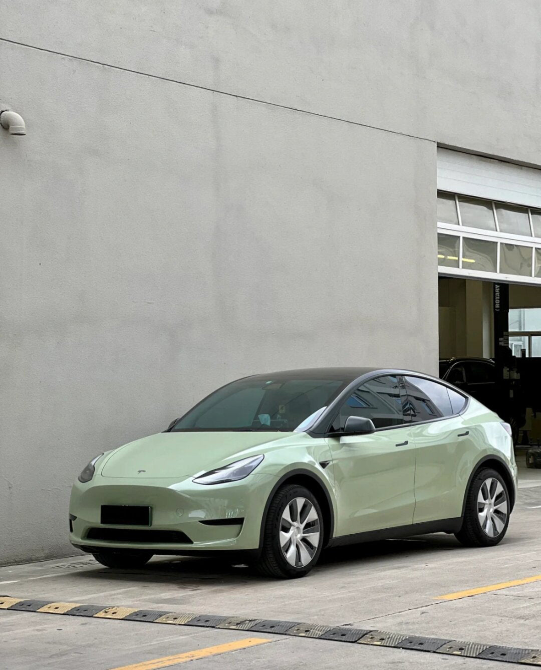 PET Khaki Green