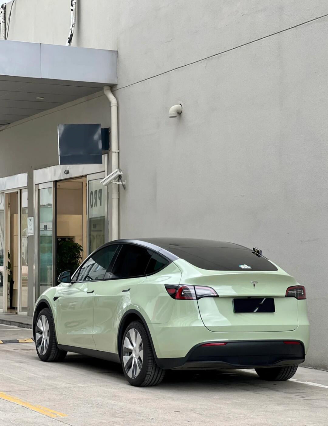 PET Khaki Green