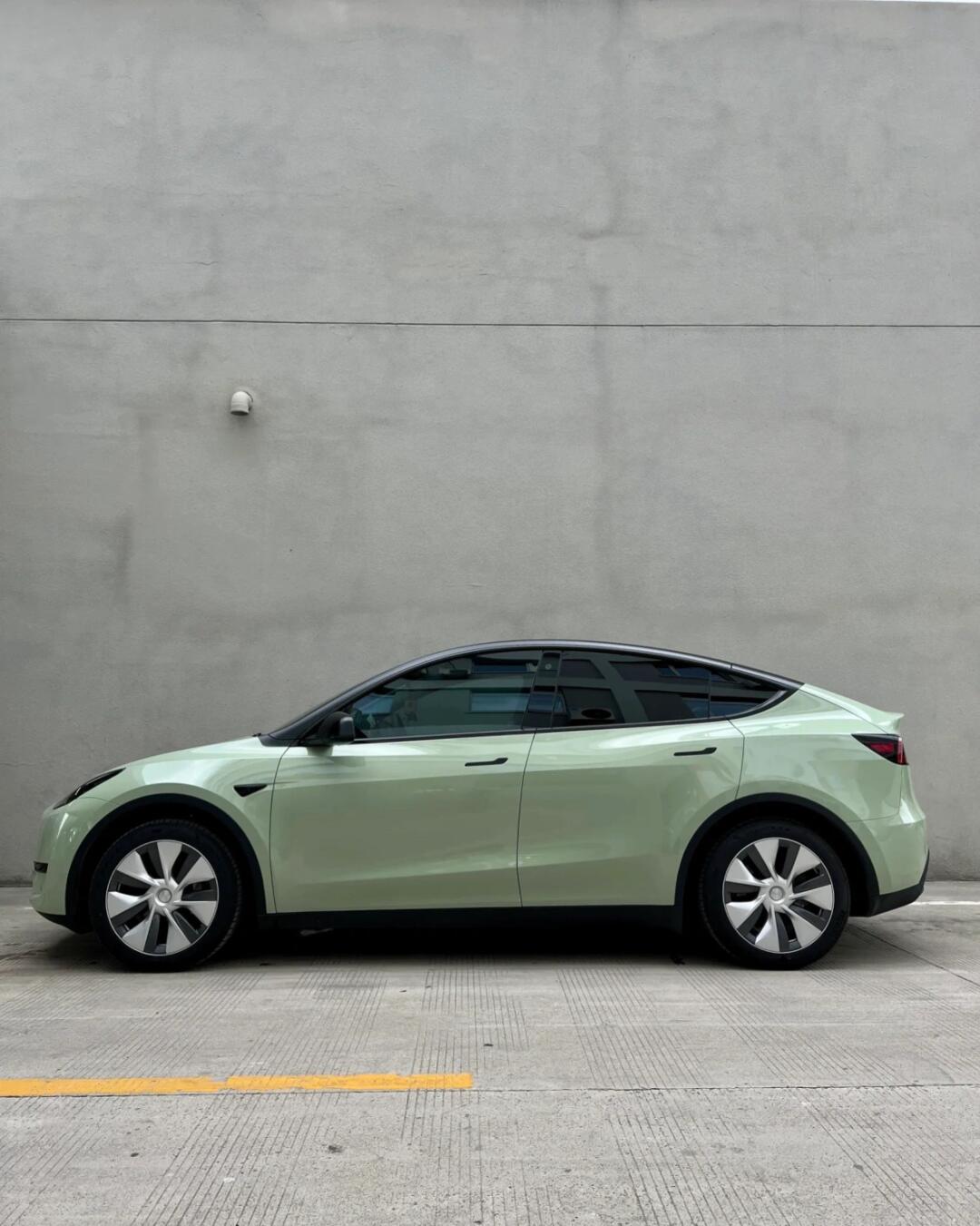 PET Khaki Green