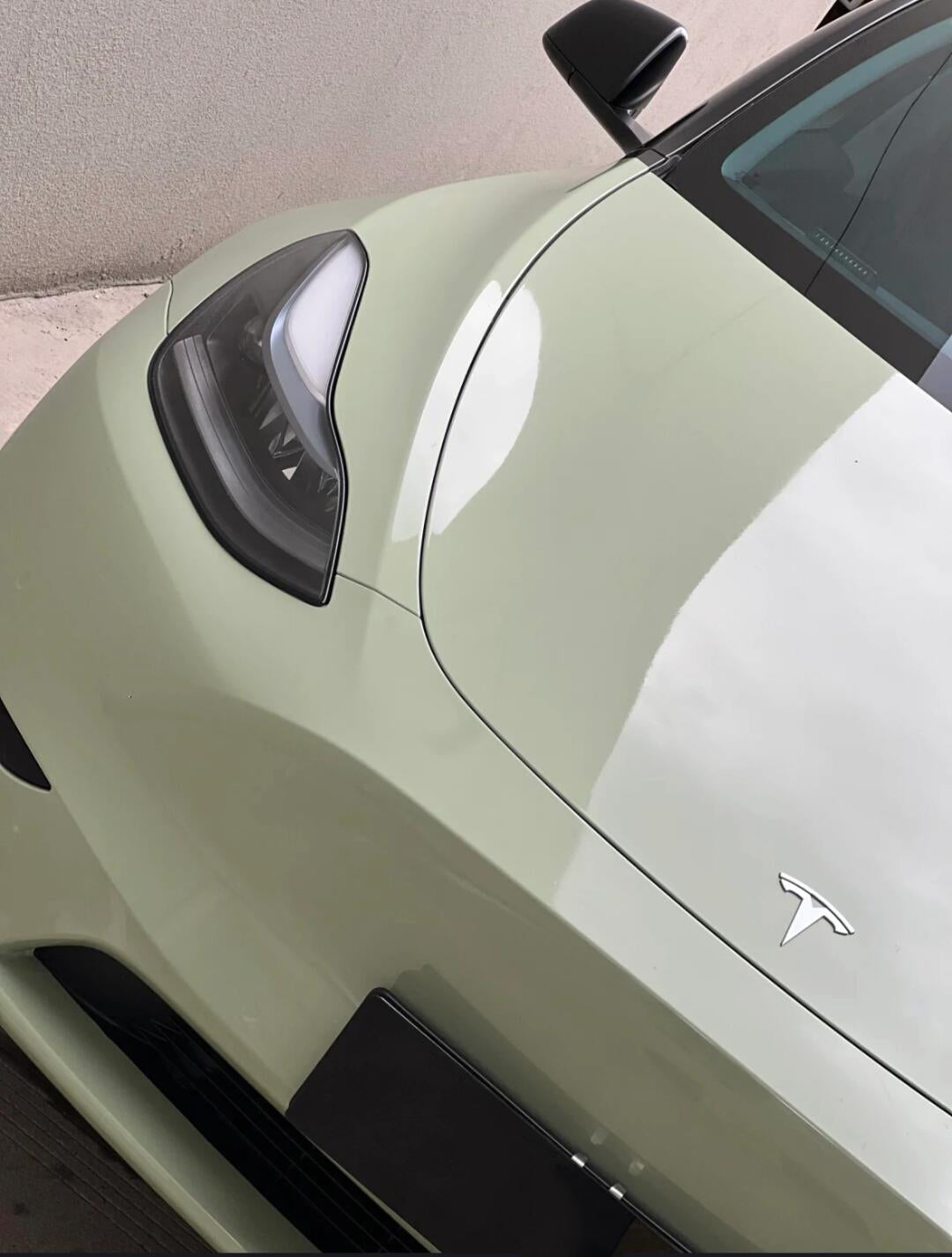 PET Khaki Green