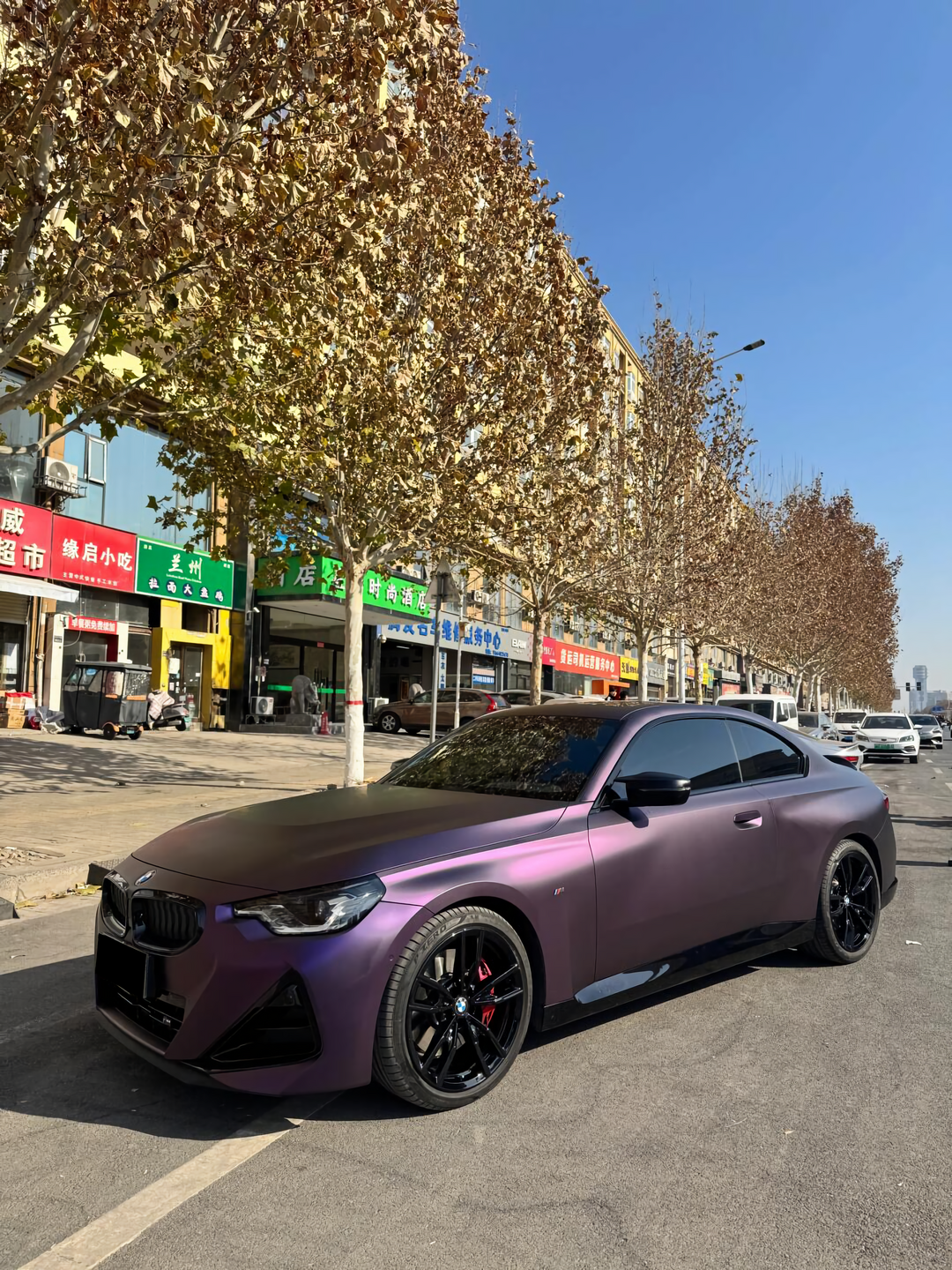 Black Iridescent Purple