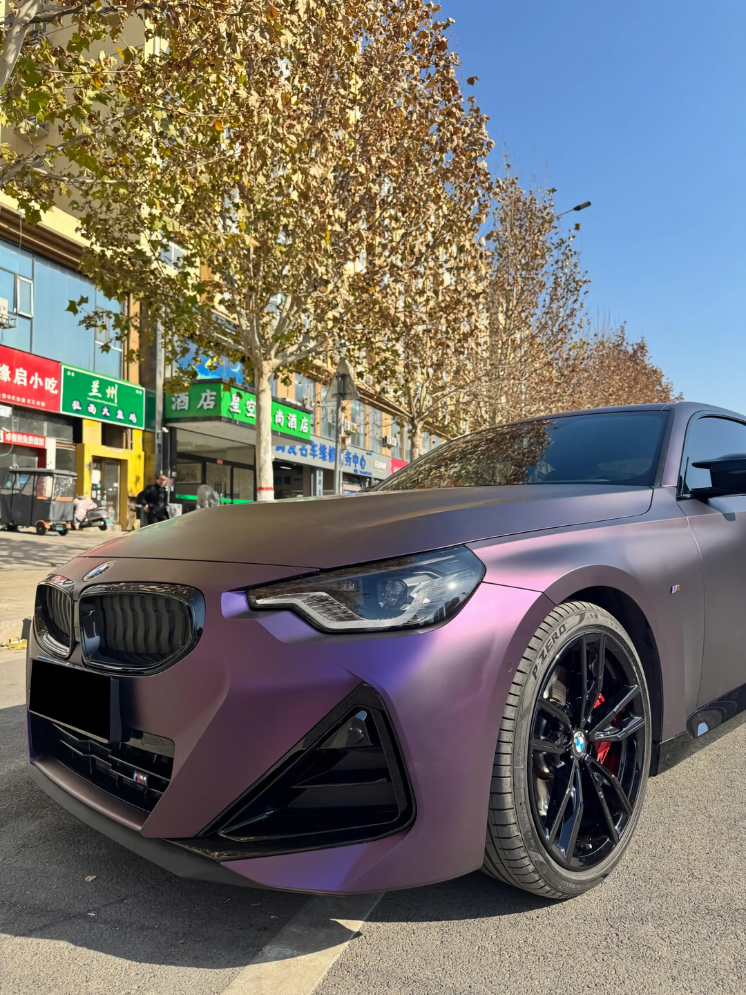 Black Iridescent Purple
