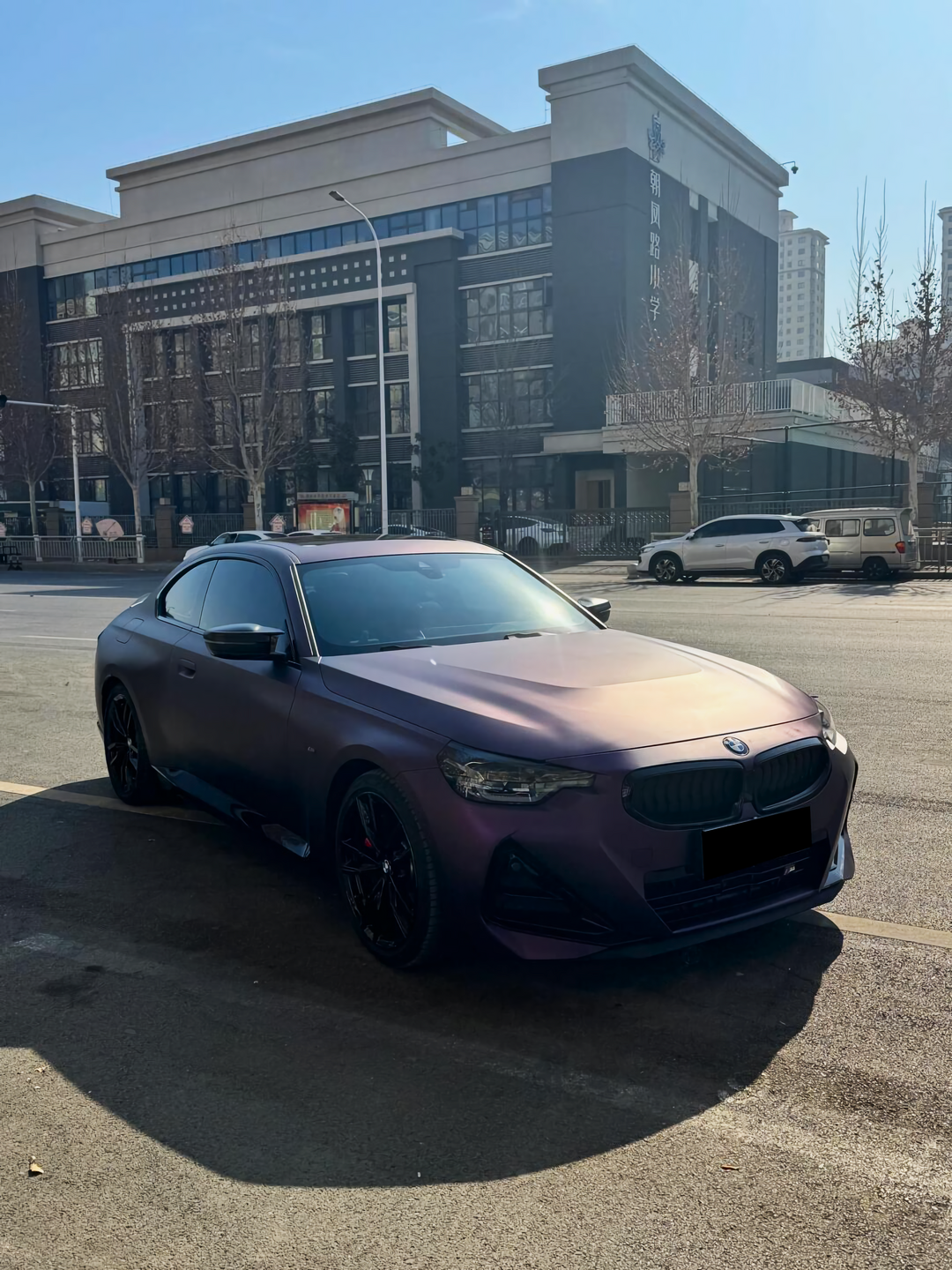 Black Iridescent Purple