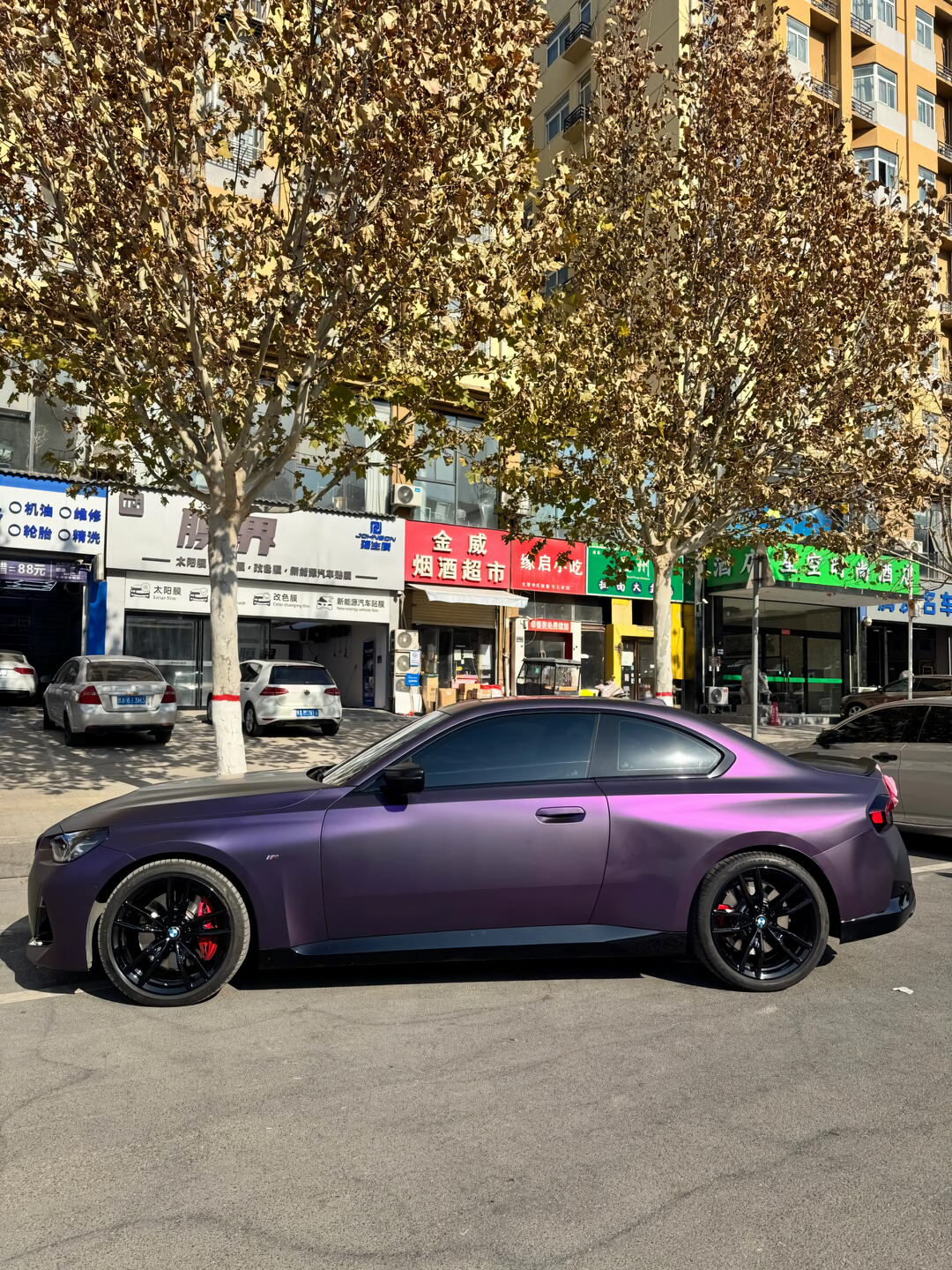 Black Iridescent Purple
