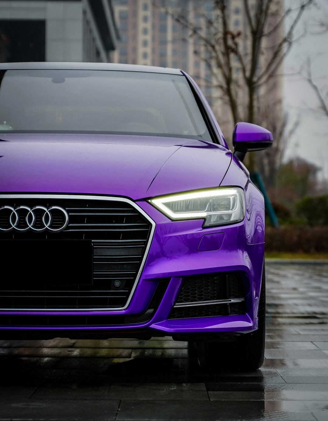 Ultraviolet Purple