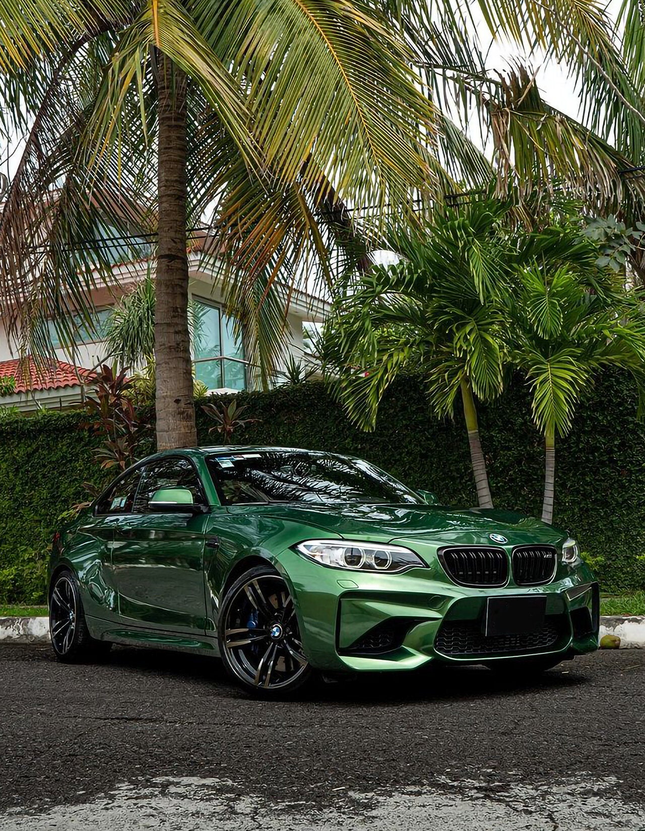 Metallic Sonoma Green