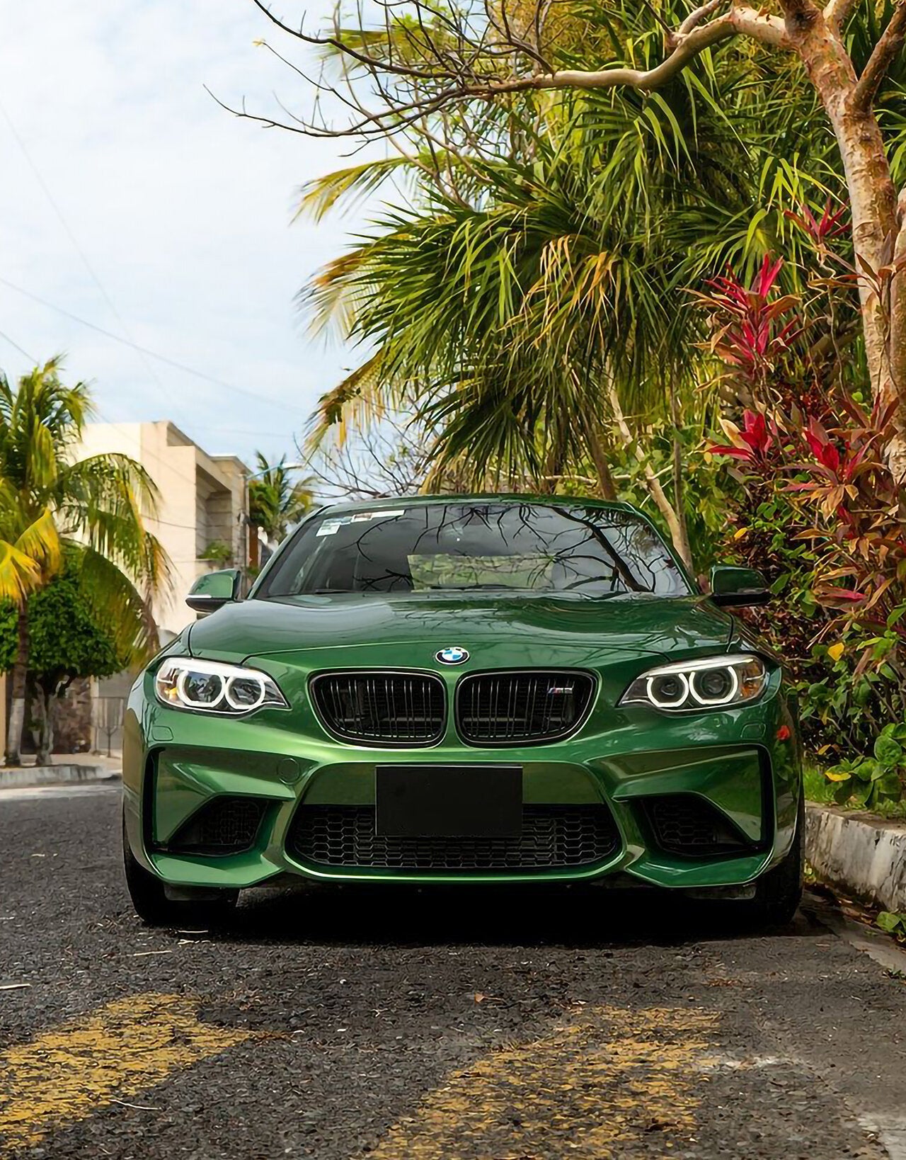 Metallic Sonoma Green