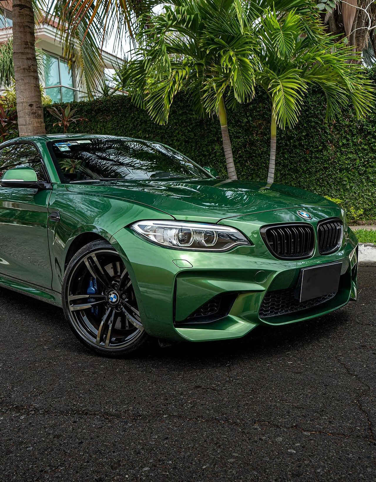 Metallic Sonoma Green