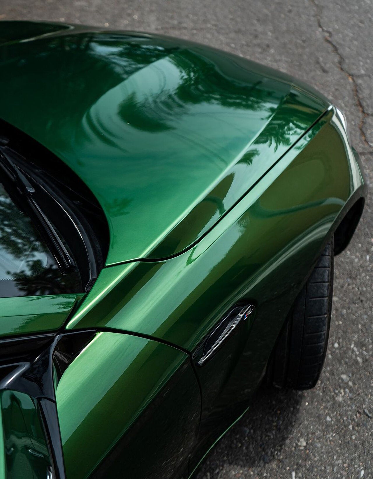 Metallic Sonoma Green