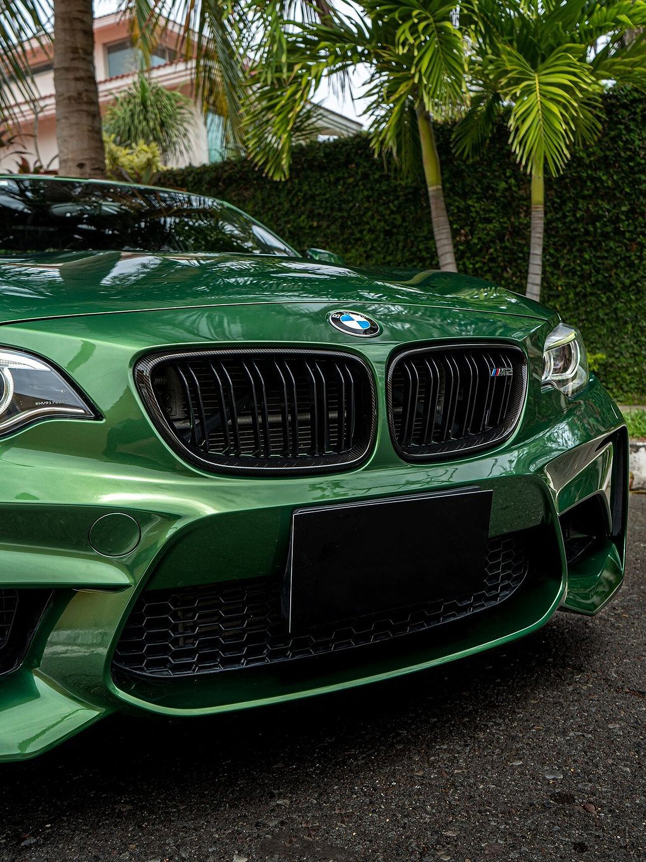 Metallic Sonoma Green