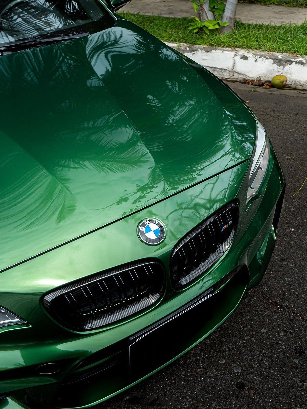 Metallic Sonoma Green