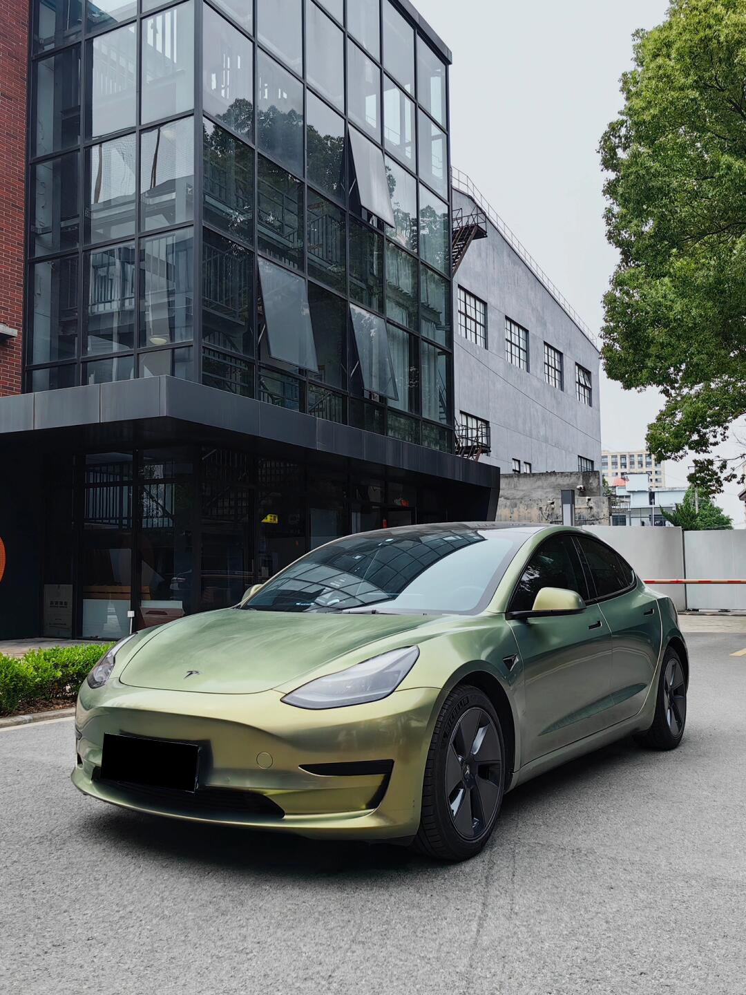 Urban Green Bamboo Metallic