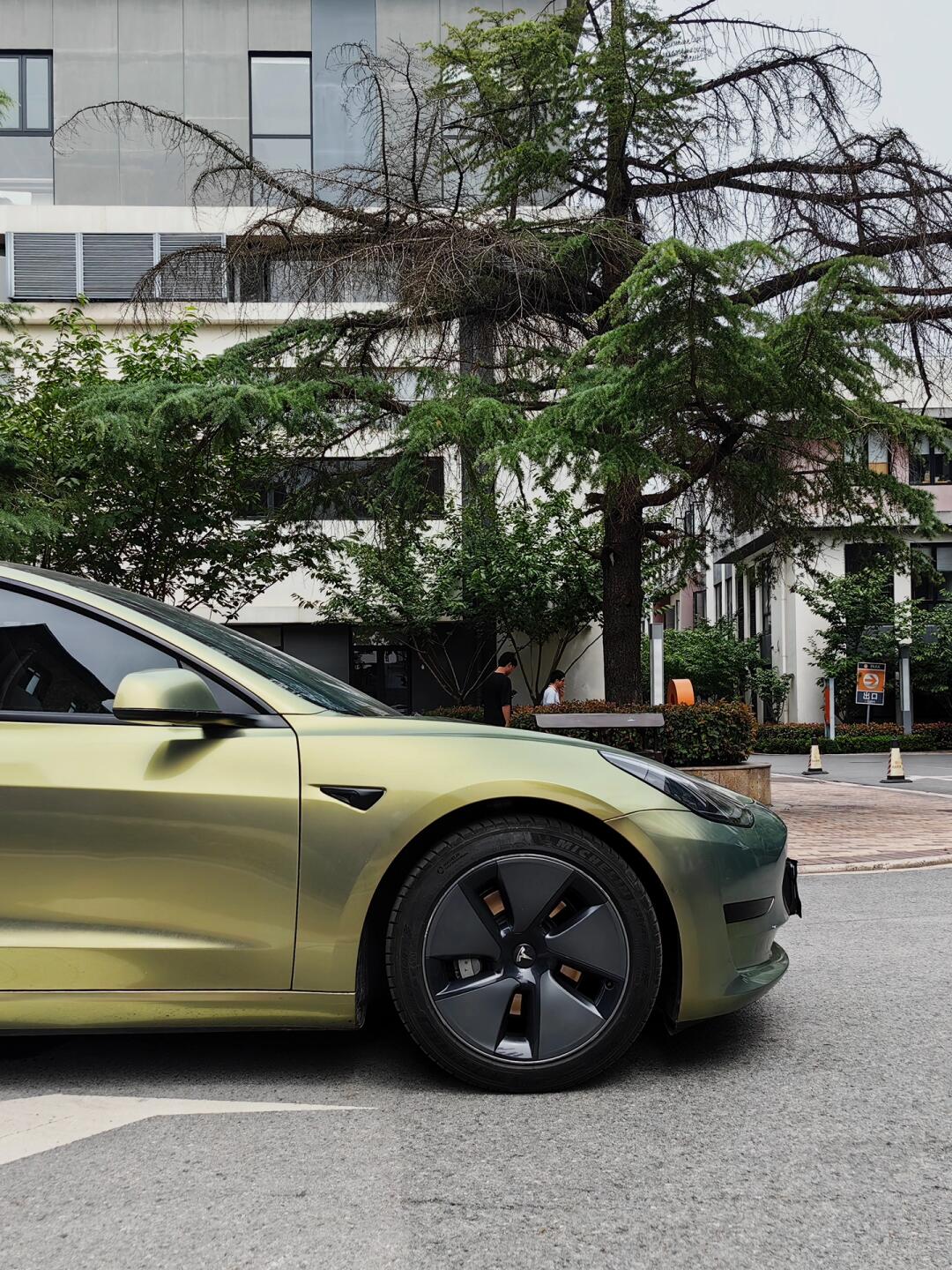 Urban Green Bamboo Metallic