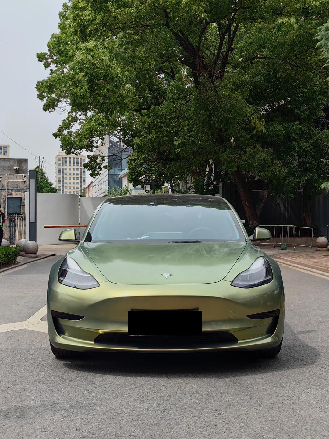 Urban Green Bamboo Metallic