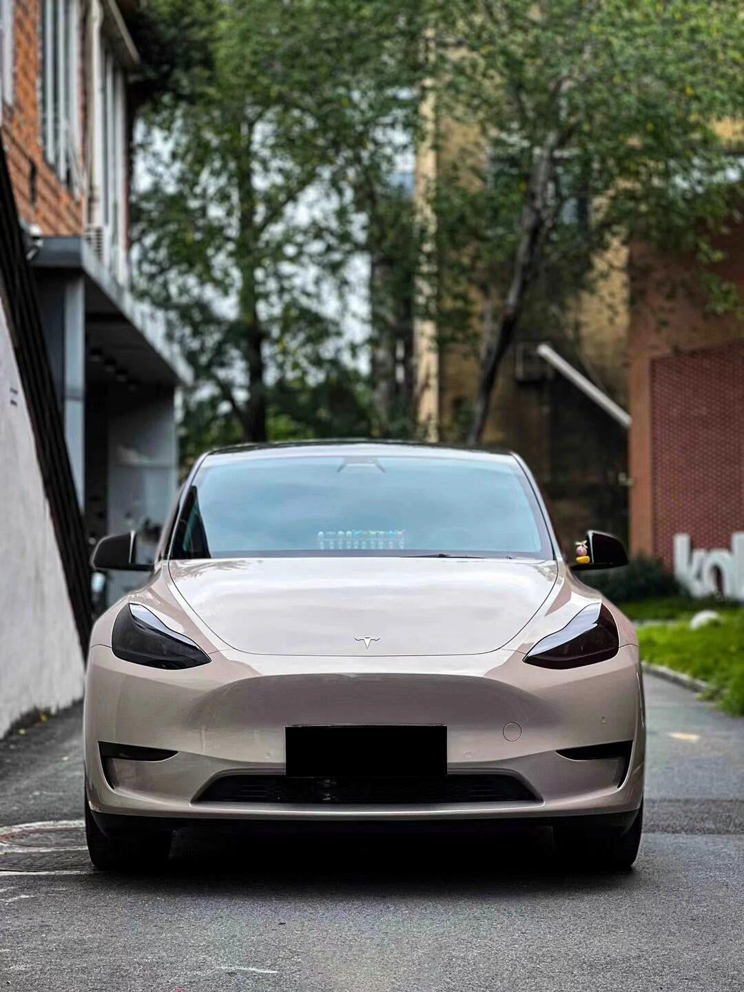 Porsche Metallic Stone