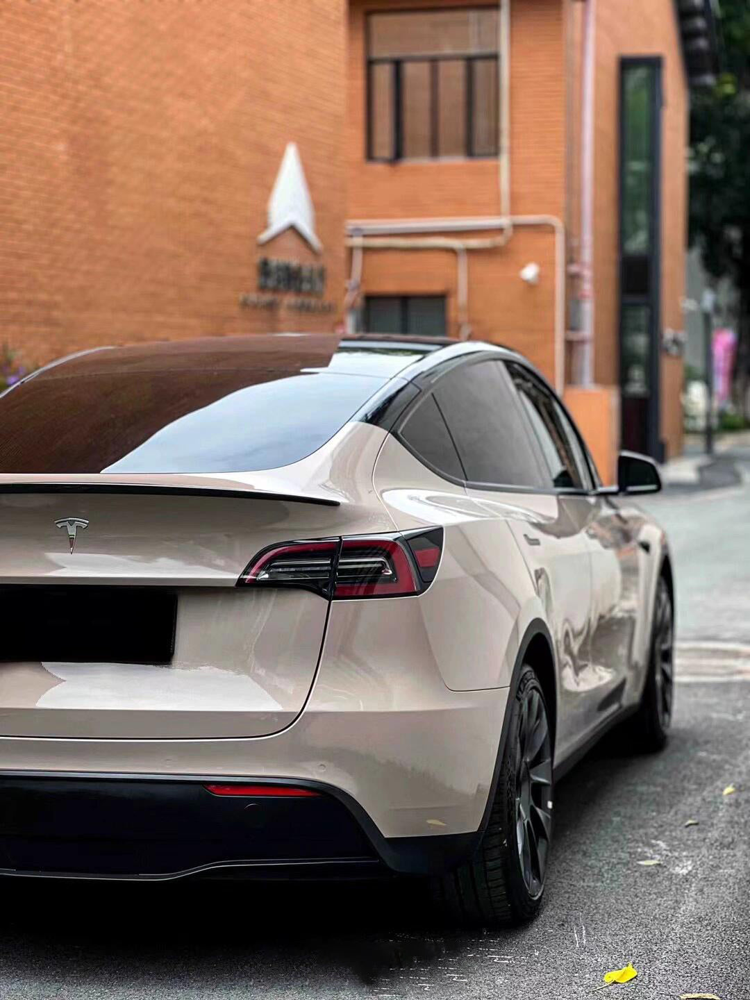 Porsche Metallic Stone