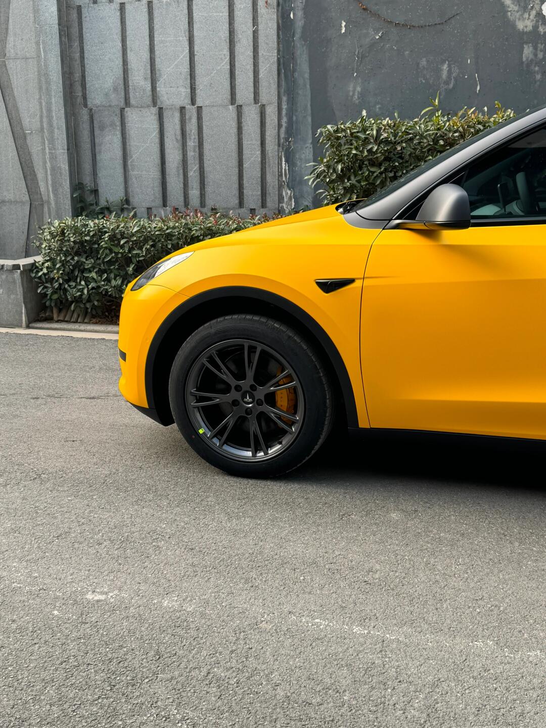 Satin Sunflower Yellow