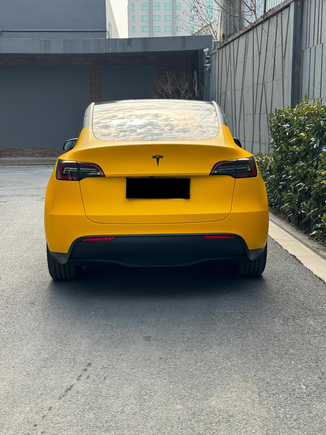 Satin Sunflower Yellow