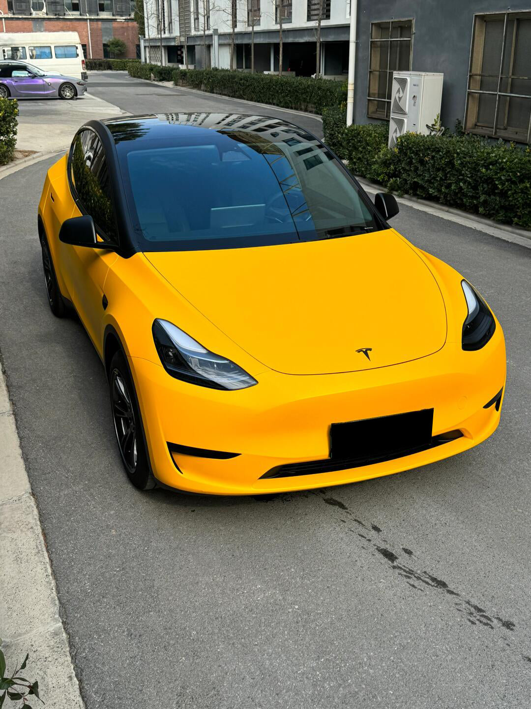 Satin Sunflower Yellow