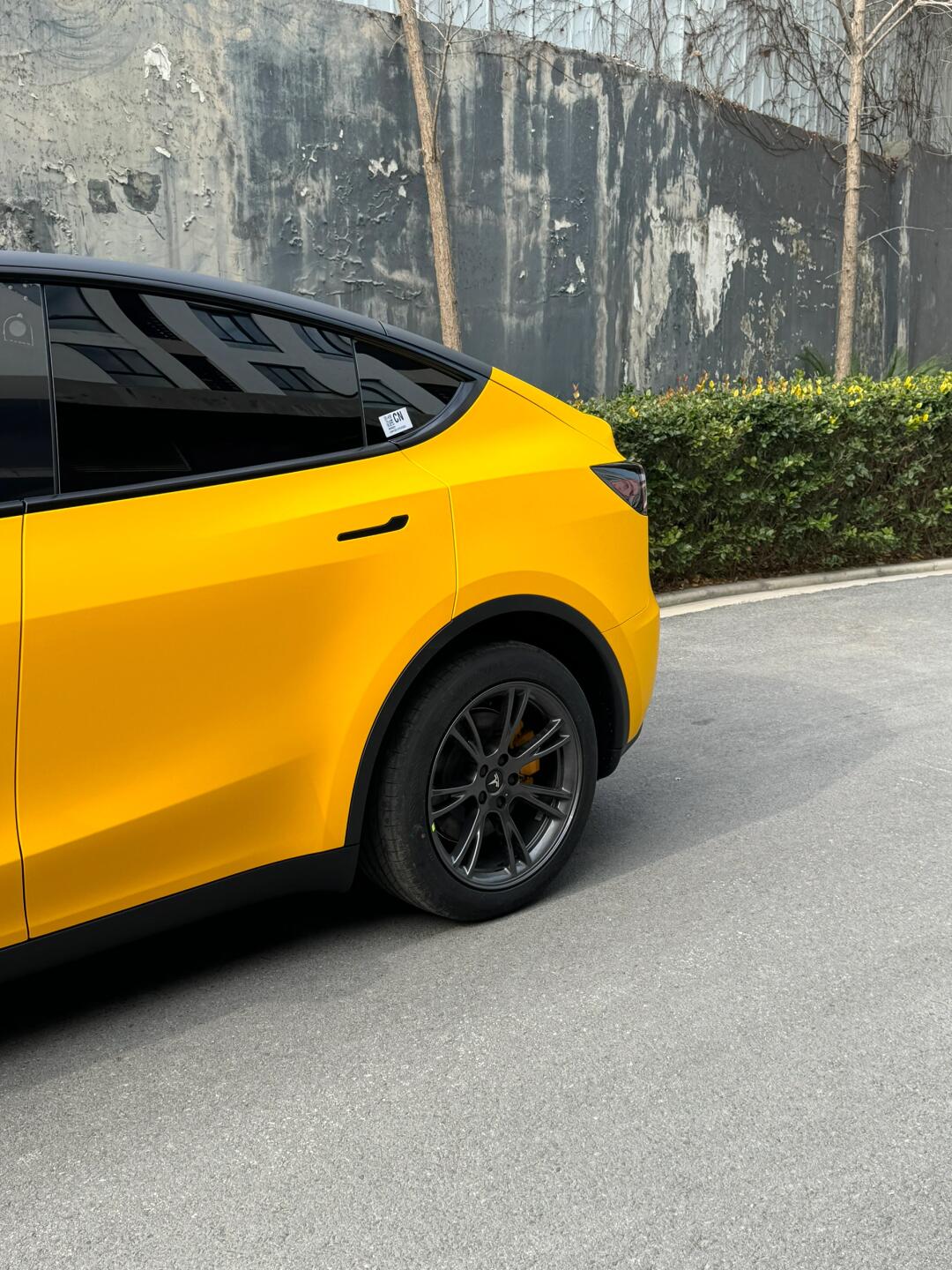 Satin Sunflower Yellow