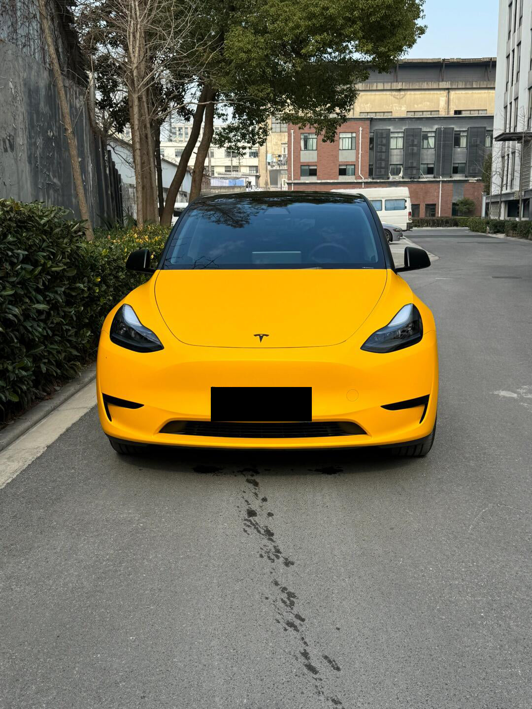Satin Sunflower Yellow