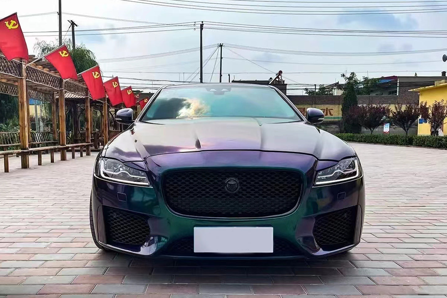 Chameleon Purple Turn Green (Bright)