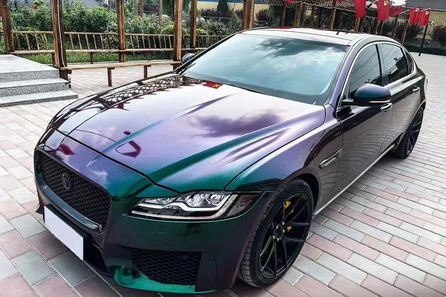Chameleon Purple Turn Green (Bright)