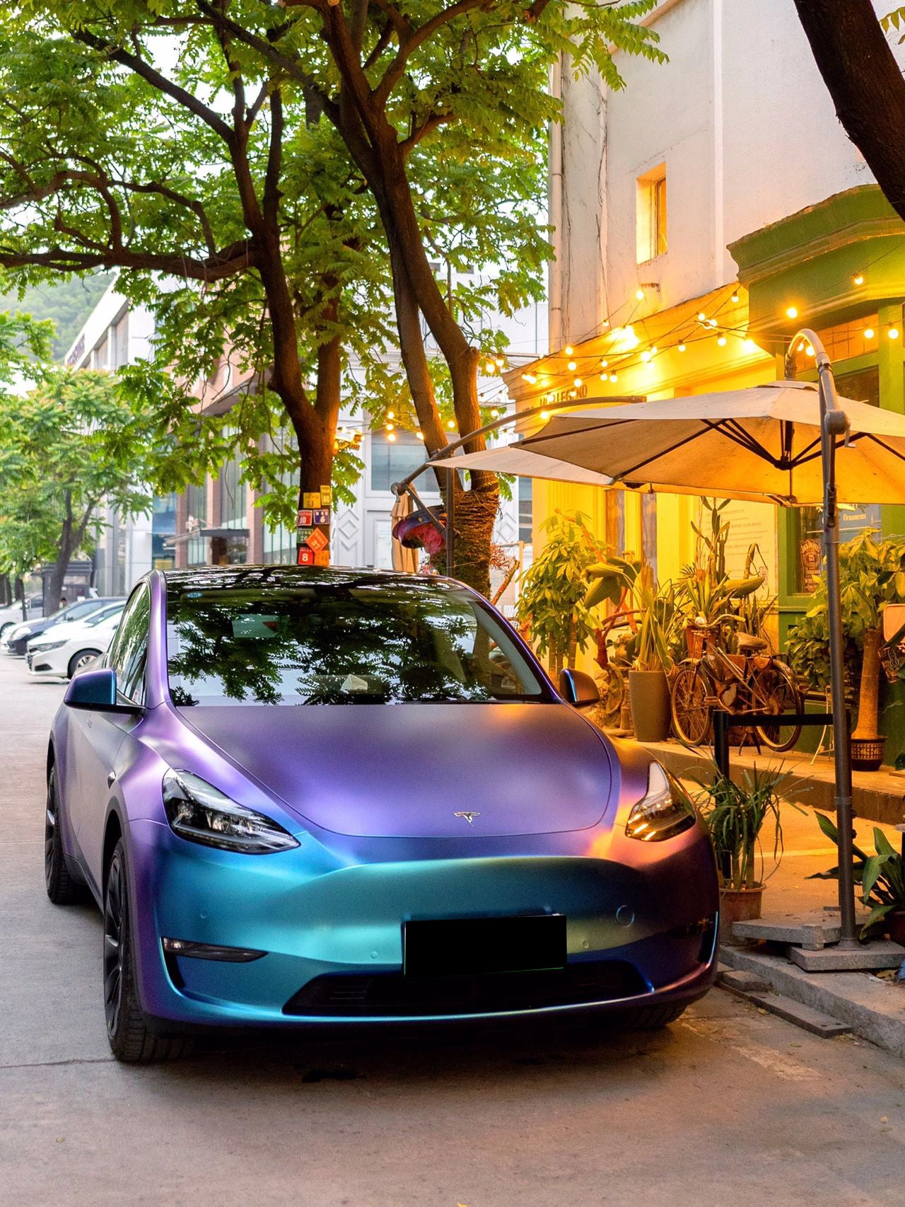 Chameleon Purple Turn Green (Matte)