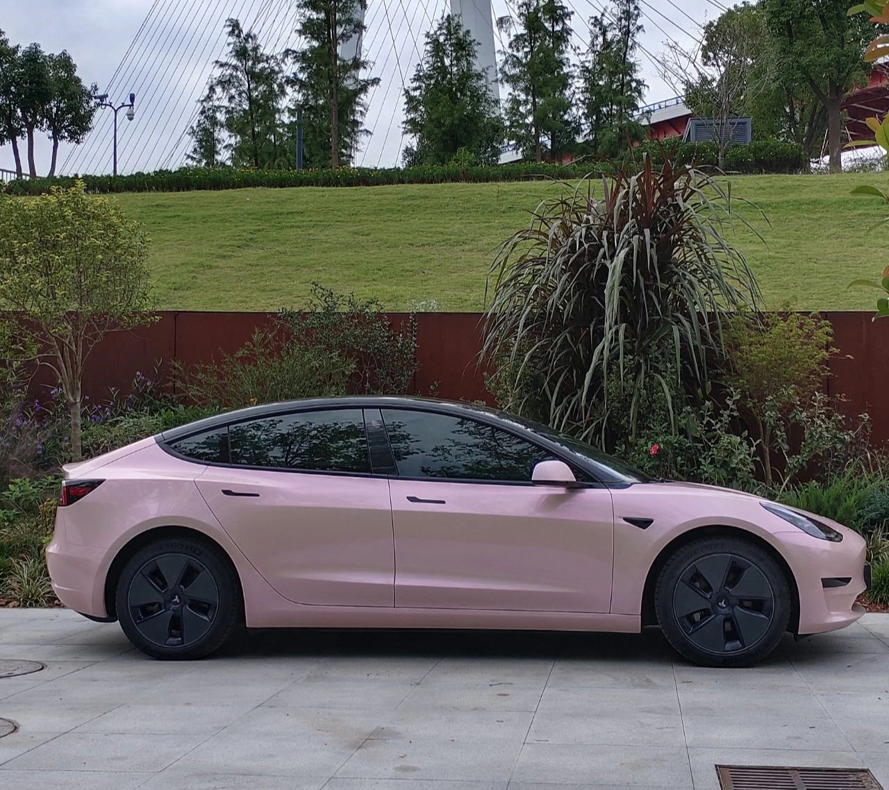 Coral Rough Pink