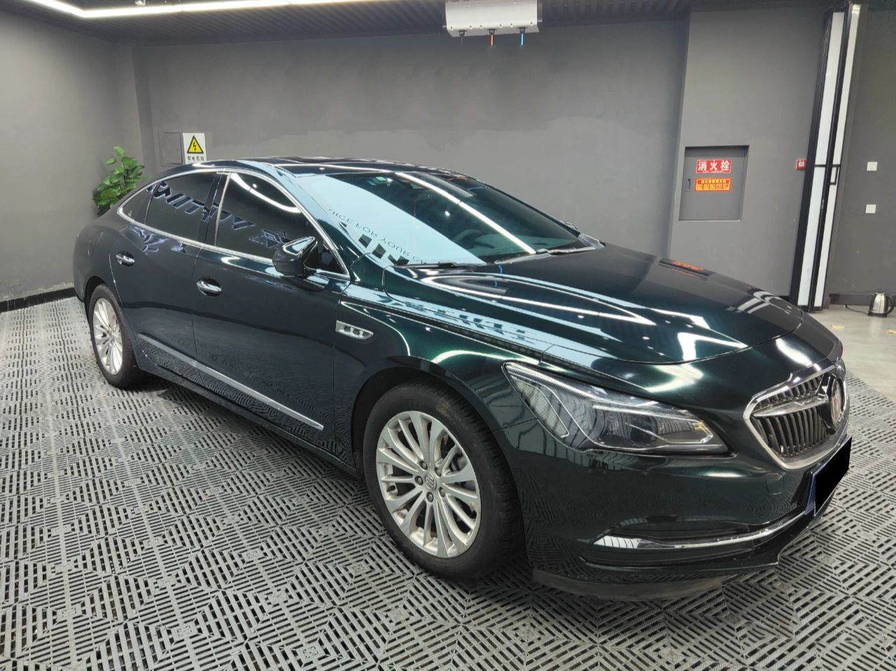 Pearlescent Blackish Green