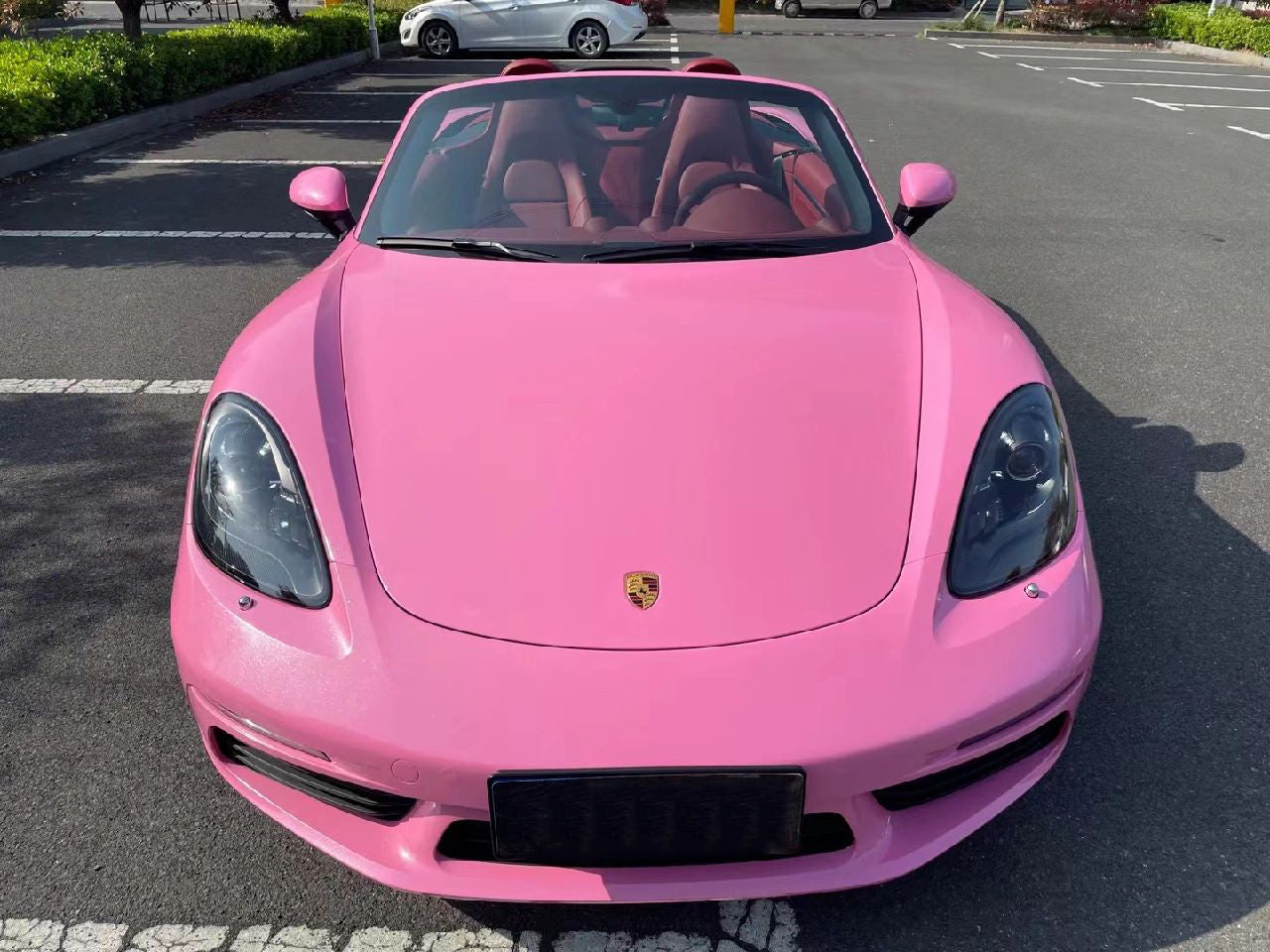 Pearlescent Pink