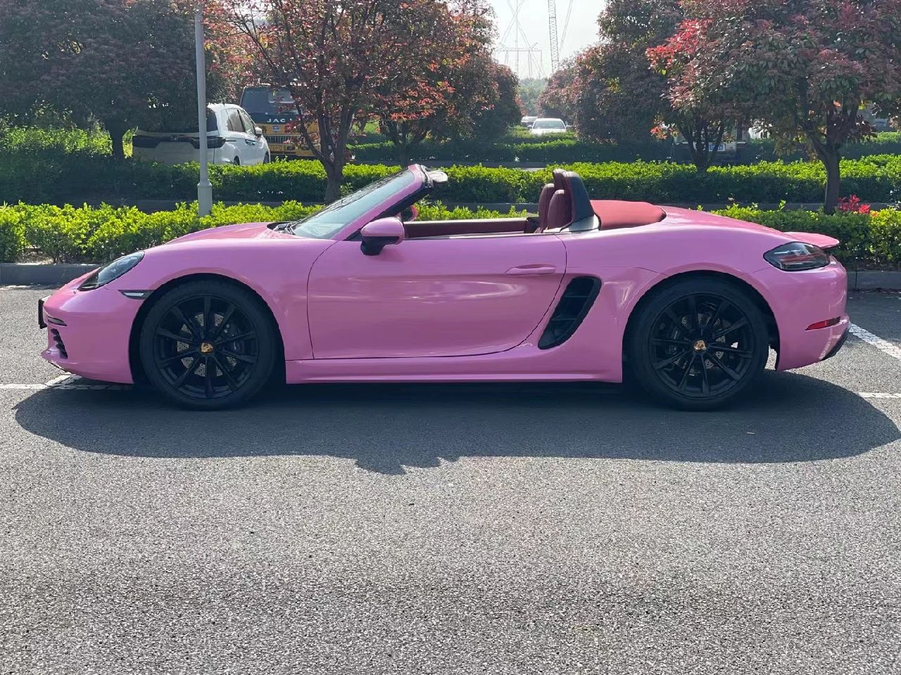 Pearlescent Pink