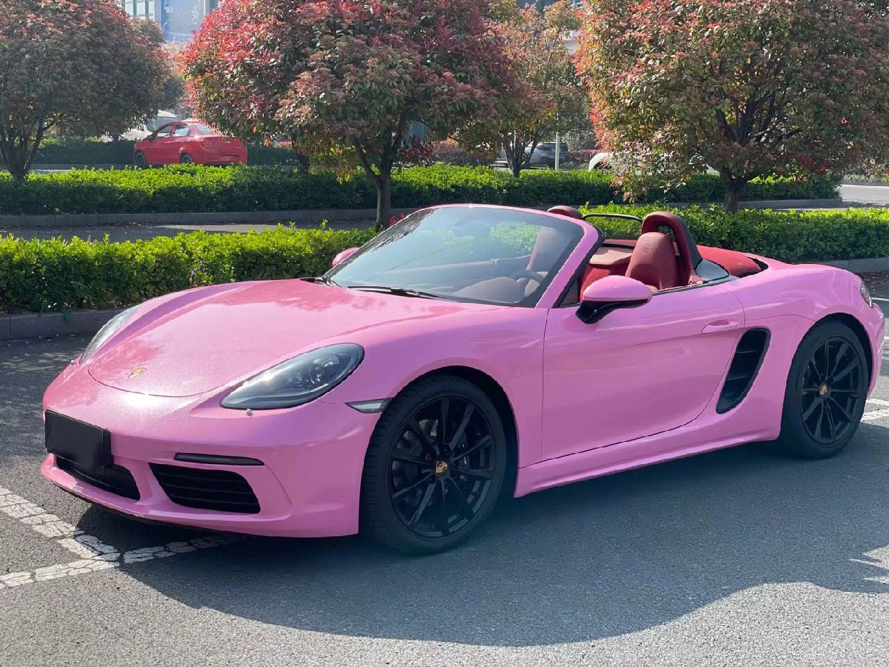 Pearlescent Pink