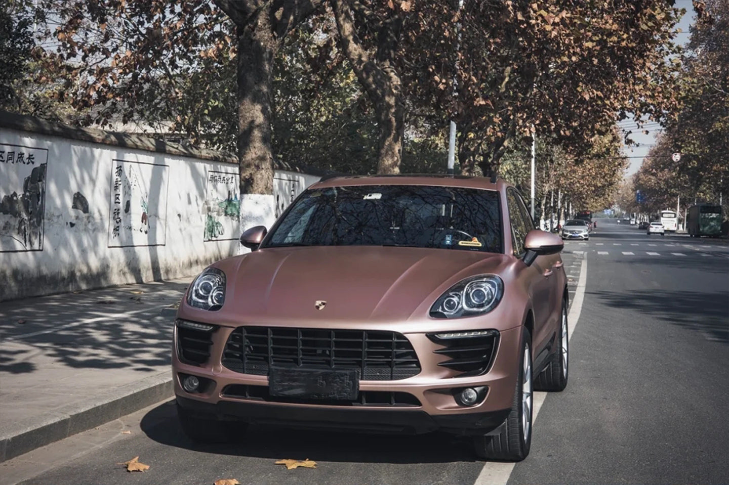 Electro Optical Rose Gold