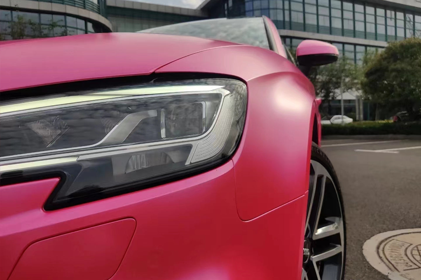 Electro Optic Rose Red
