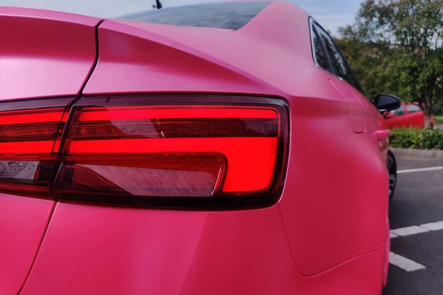 Electro Optic Rose Red