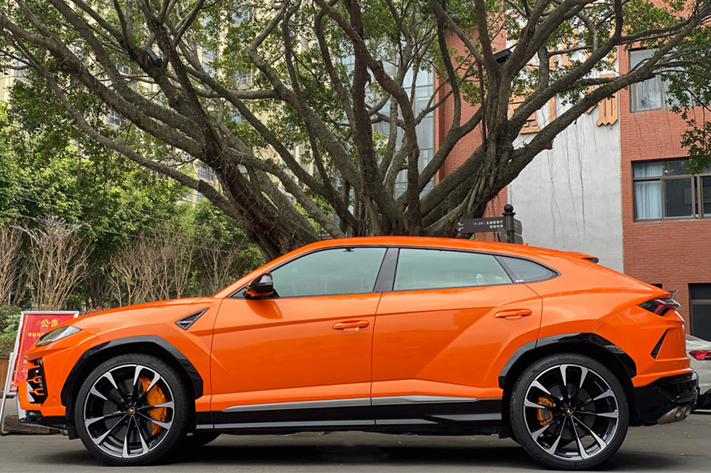 Inferno Surge Orange