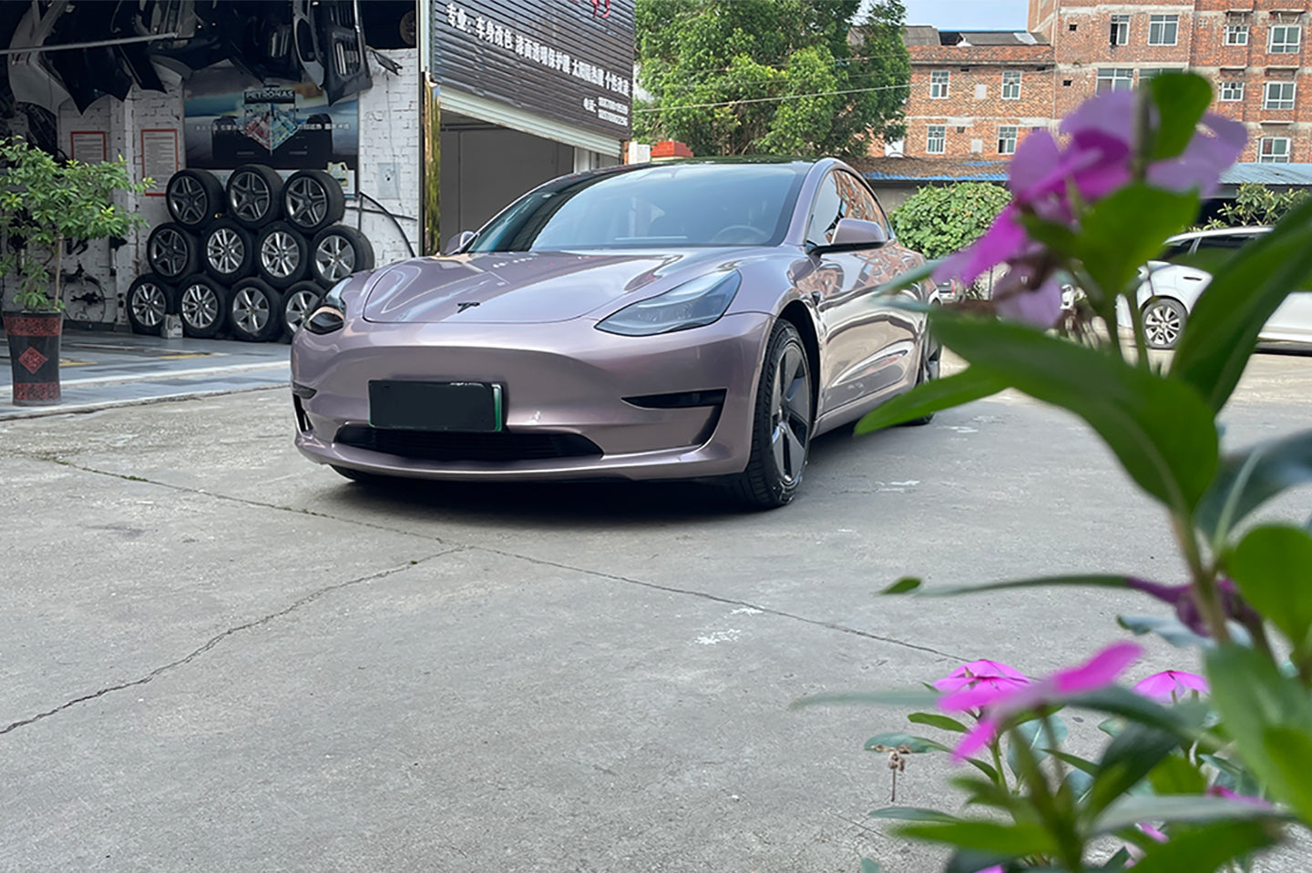 PET Iceberry Pink (Porsche)