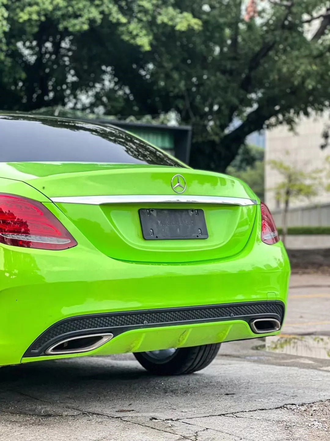 PET Apple Green
