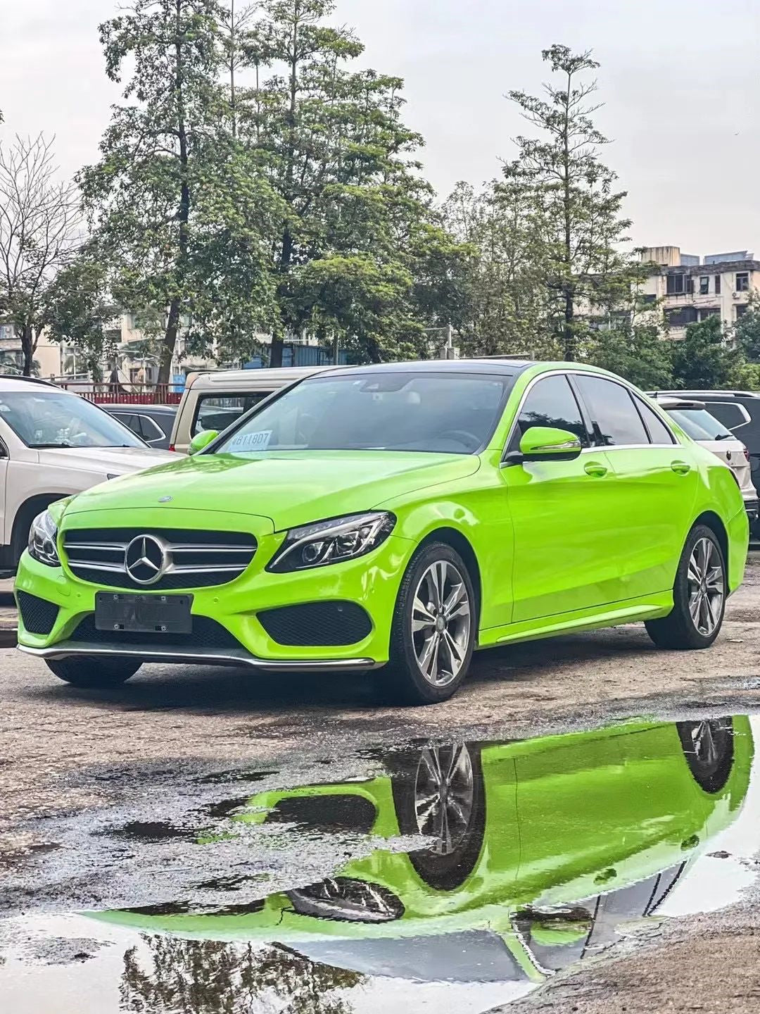 PET Apple Green