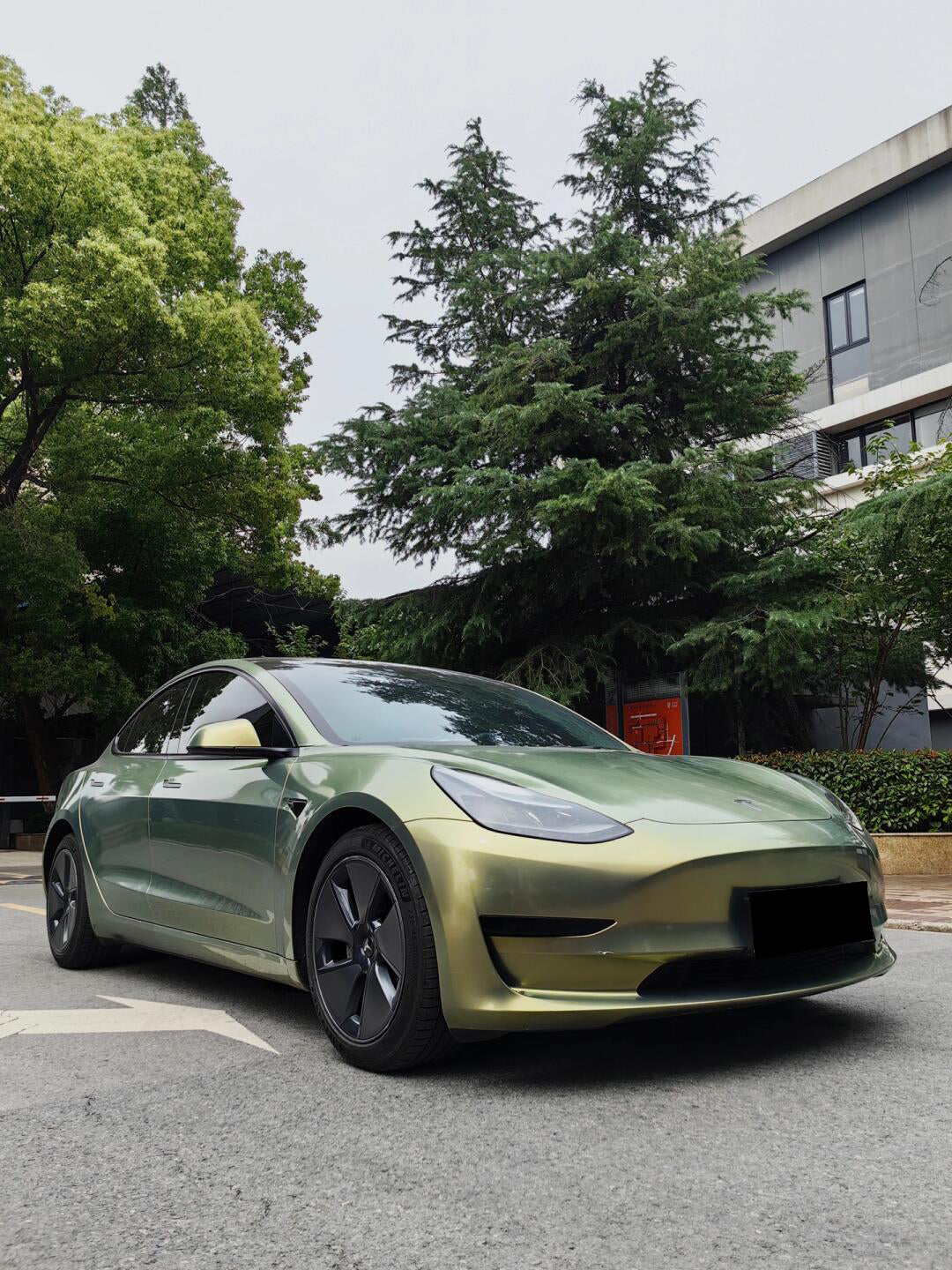 PET Urban Green Bamboo (Porsche)