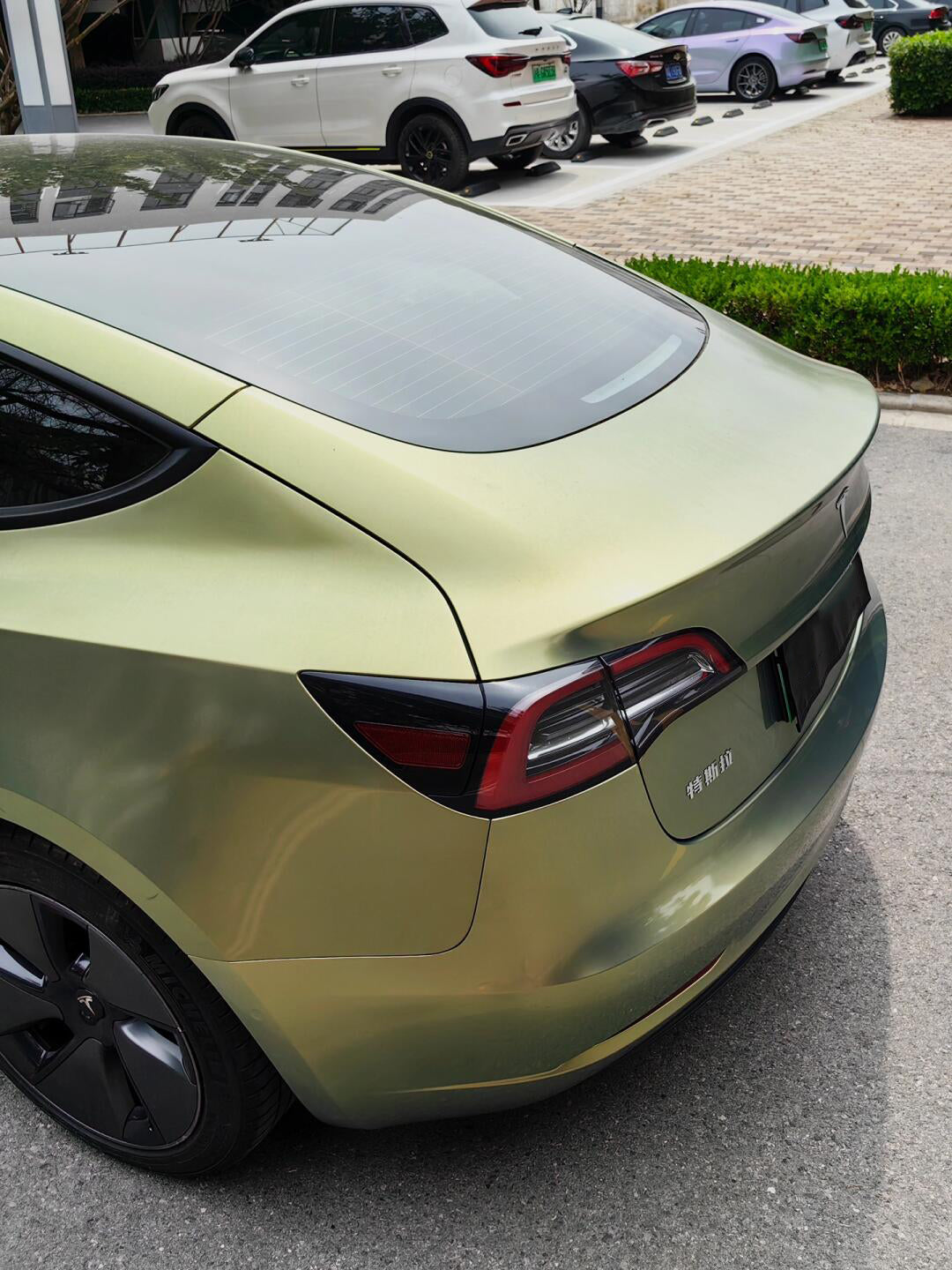 PET Urban Green Bamboo (Porsche)