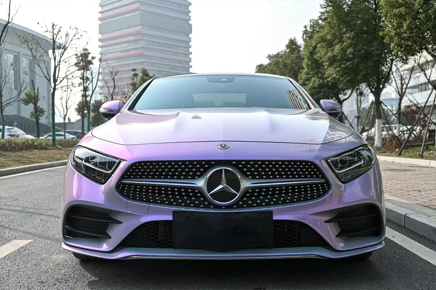 PET Phantom Gray Purple