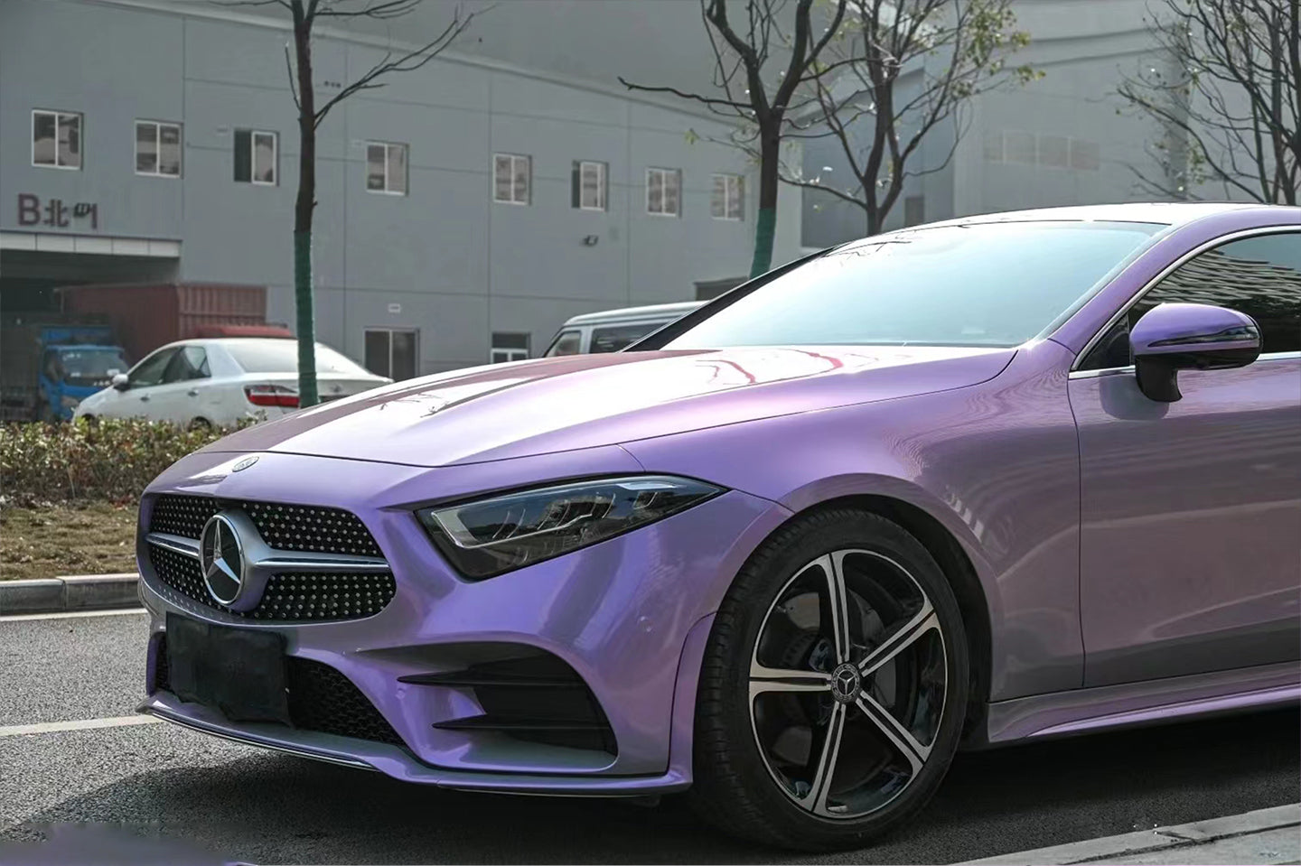 PET Phantom Gray Purple