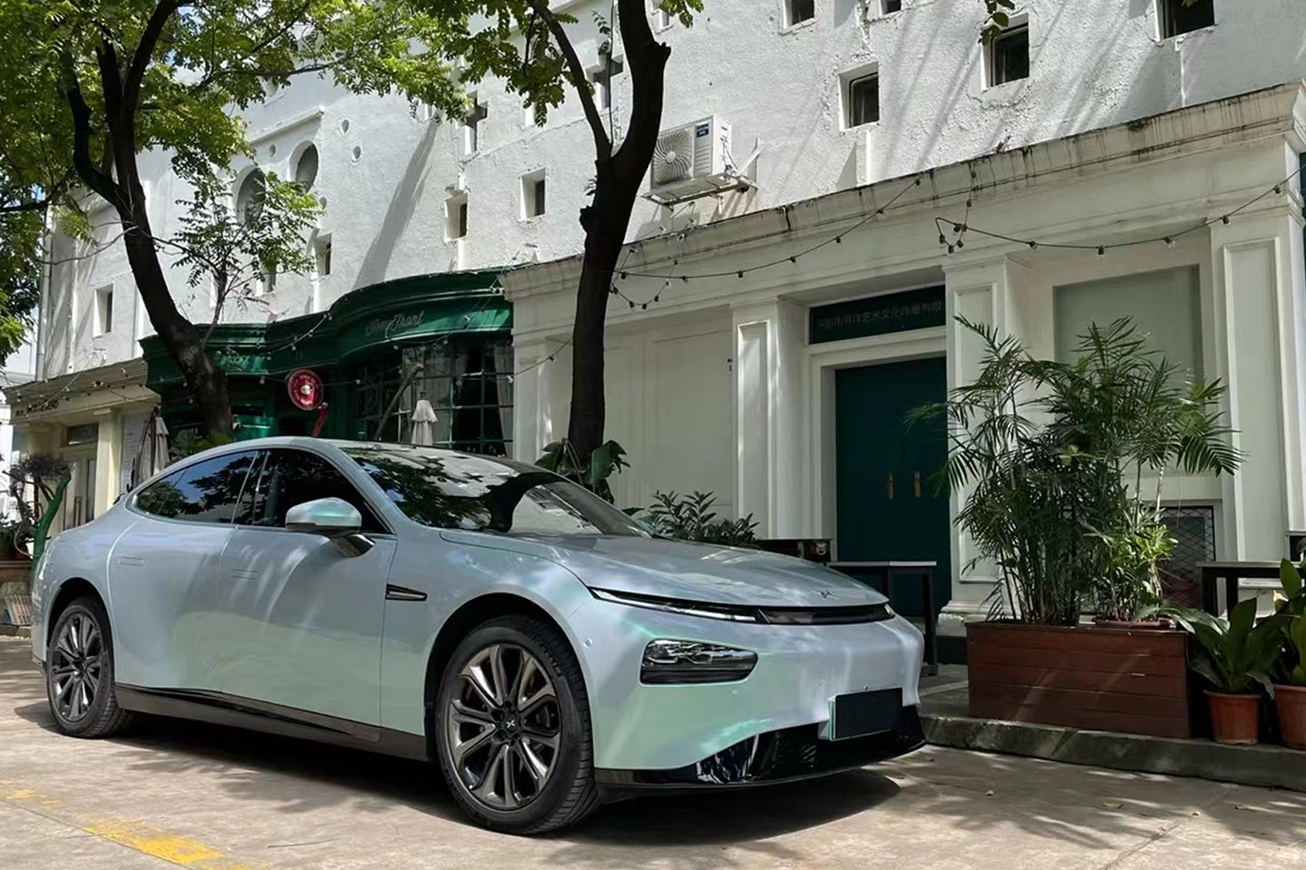 PET Phantom Gray Green