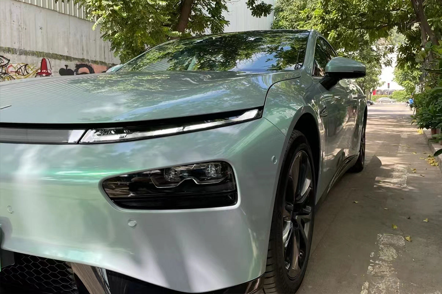 PET Phantom Gray Green