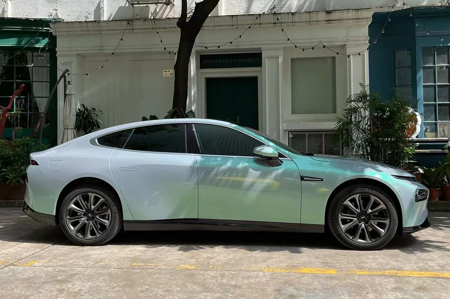 PET Phantom Gray Green
