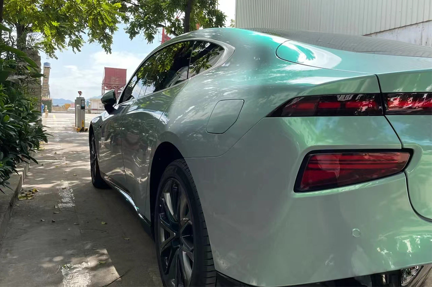 PET Phantom Gray Green