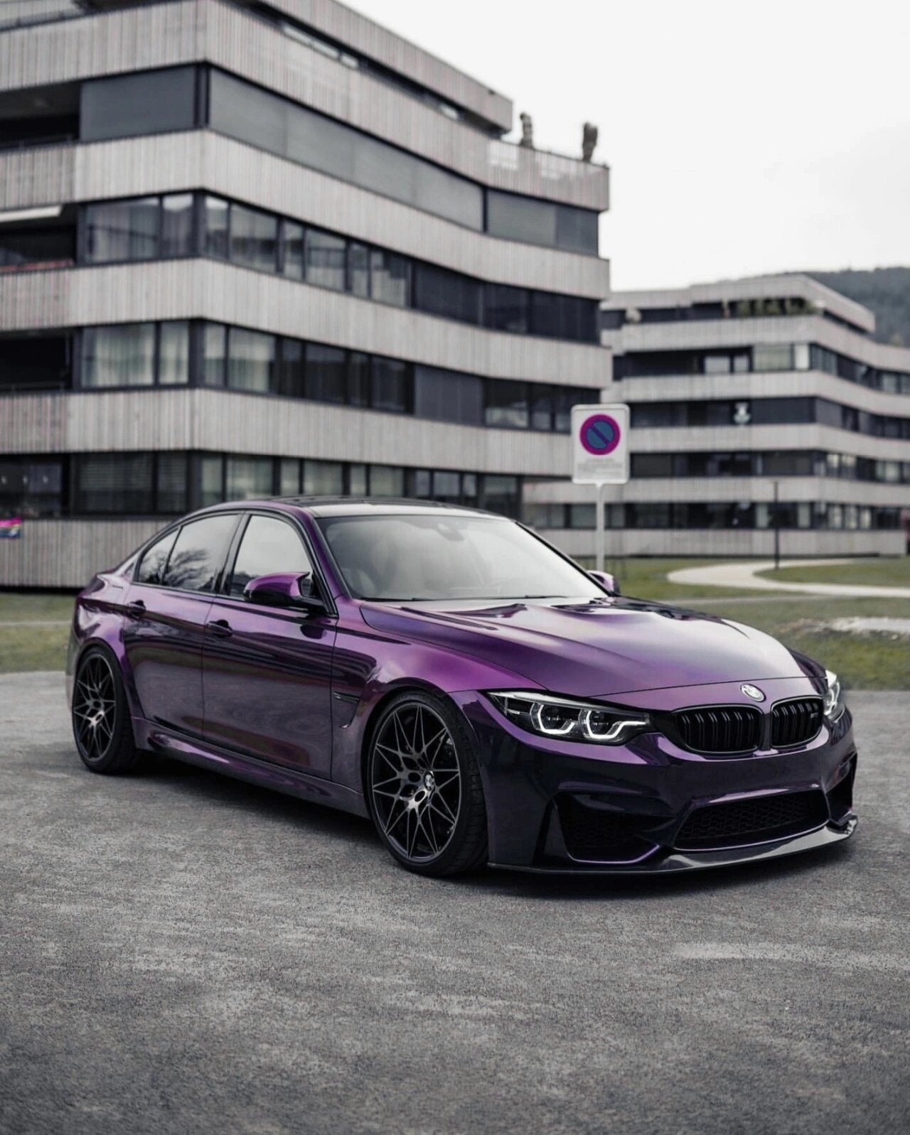 Midnight Purple