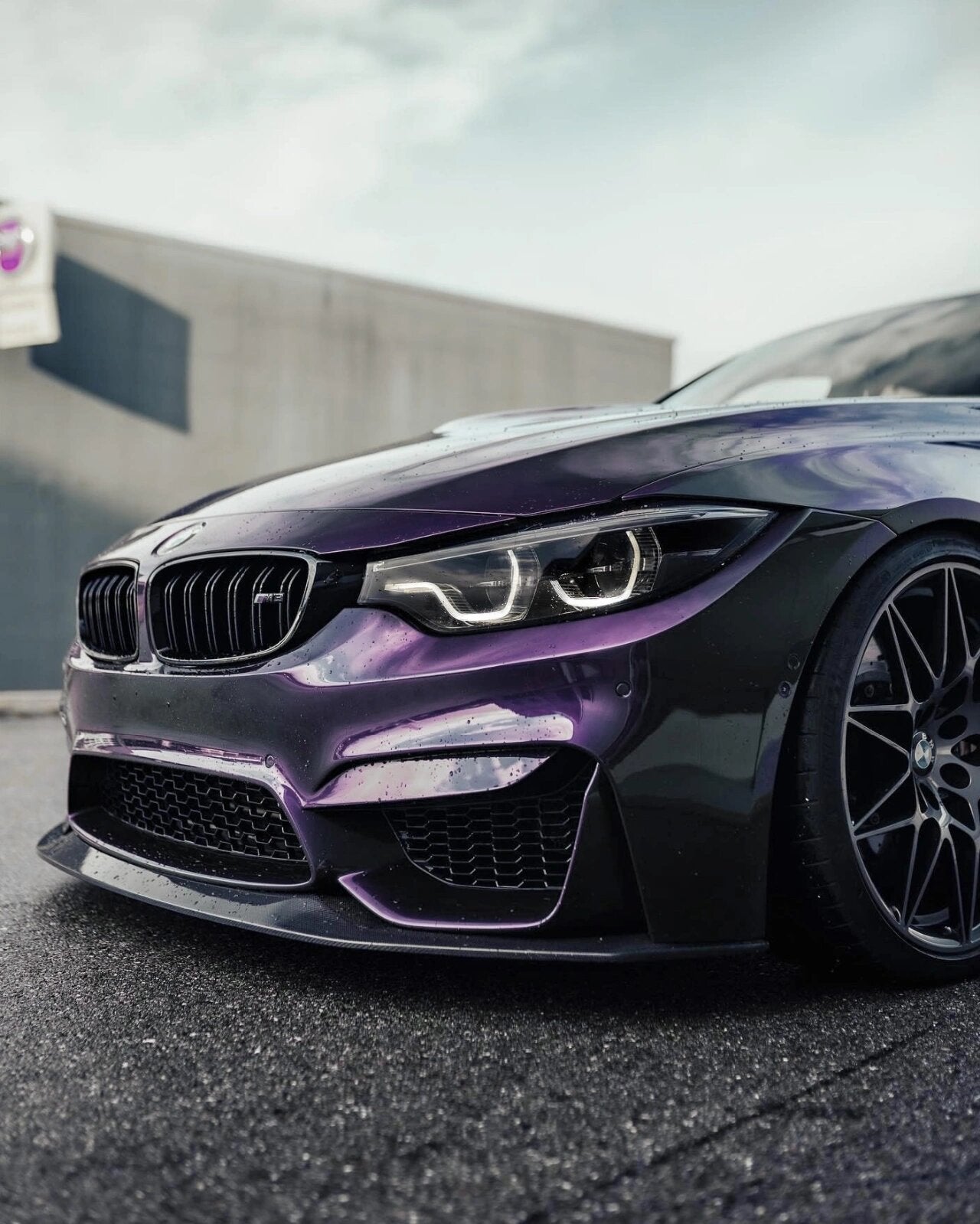 Midnight Purple